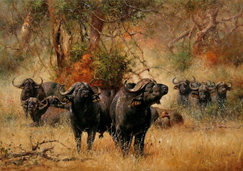 Animals Oil Painting - Hand - Painted Buffalo Herd in Grass - Oil Painting Haven