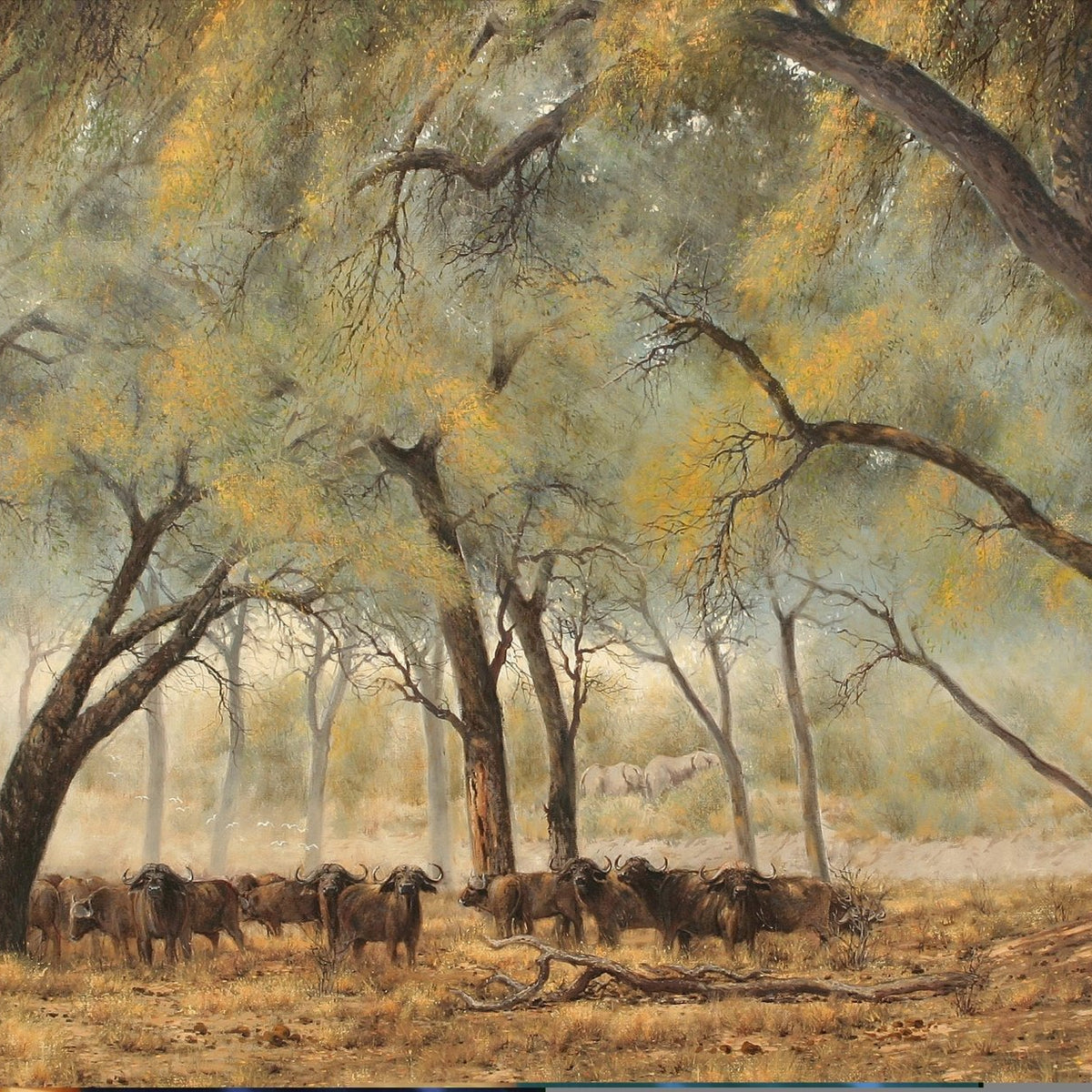 Animals Oil Painting - Hand - Painted Buffalo Herd in Woodland - Oil Painting Haven