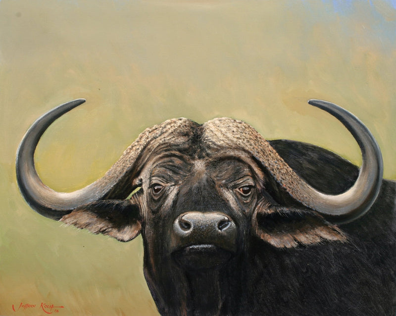 Animals Oil Painting - Hand - Painted Buffalo Portrait Art - Oil Painting Haven
