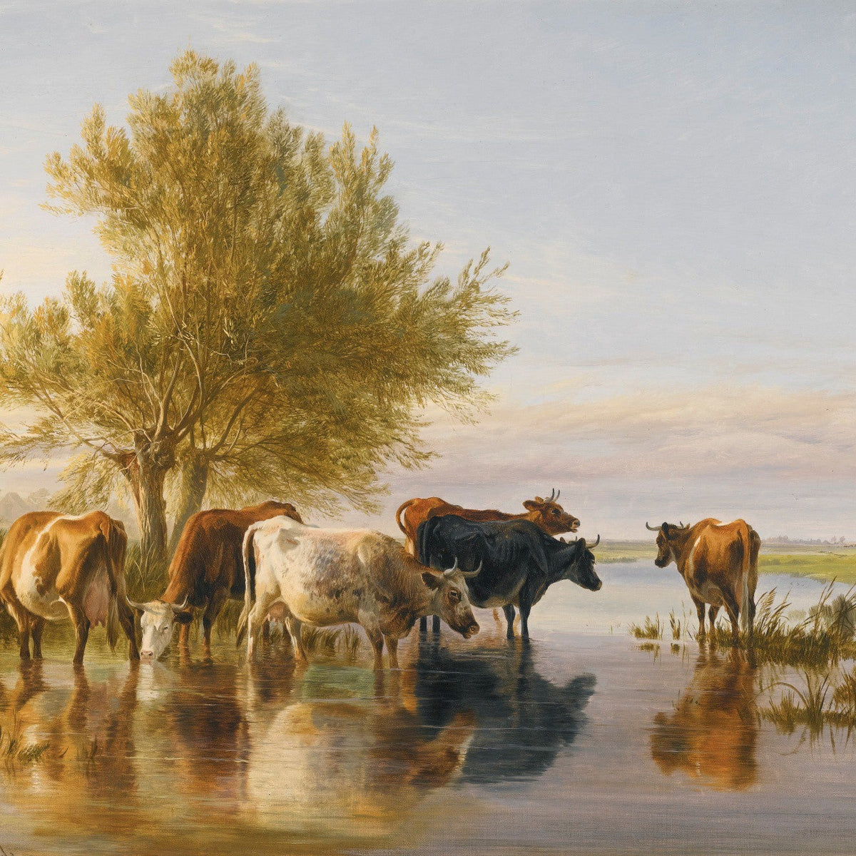 animals Oil Painting - Hand - Painted Cattle by Still Water - Oil Painting Haven