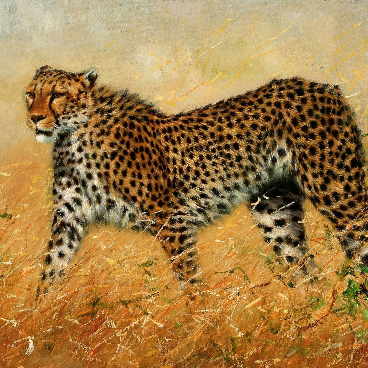 Animals Oil Painting - Hand - Painted Cheetah in Golden Grass - Oil Painting Haven