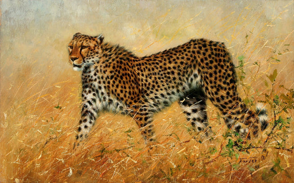 Animals Oil Painting - Hand - Painted Cheetah in Golden Grass - Oil Painting Haven