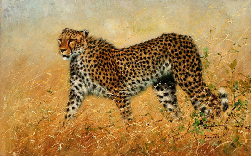 Animals Oil Painting - Hand - Painted Cheetah in Golden Grass - Oil Painting Haven