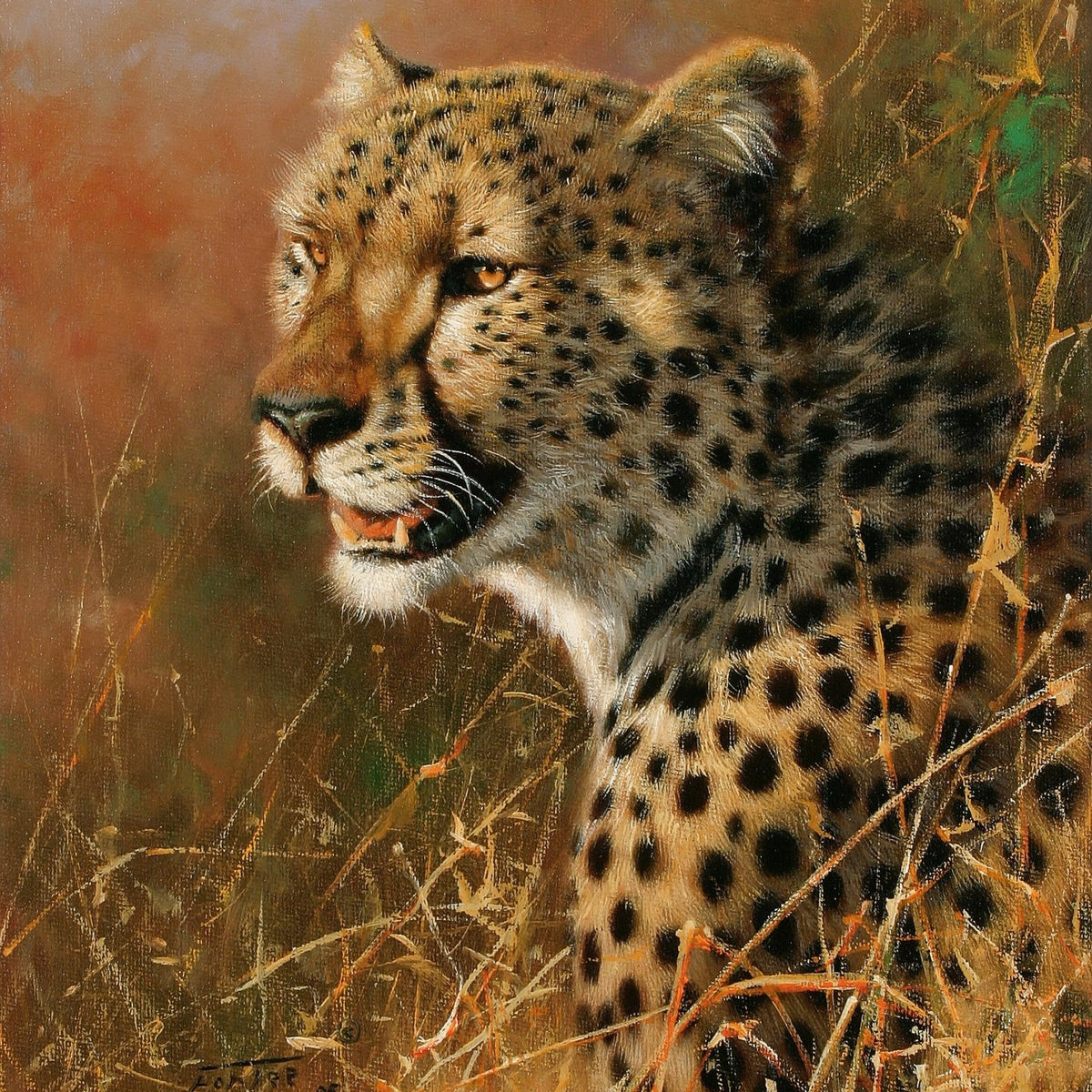 Animals Oil Painting - Hand - Painted Cheetah Portrait Art - Oil Painting Haven