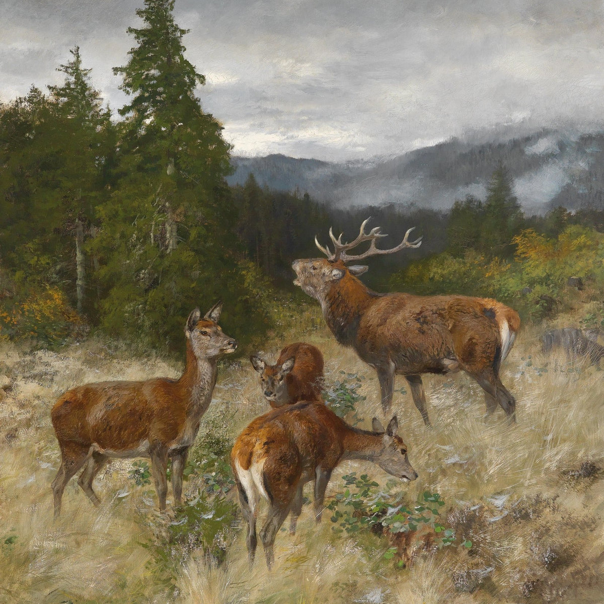 Animals Oil Painting - Hand - Painted Deer Family in Highlands - Oil Painting Haven