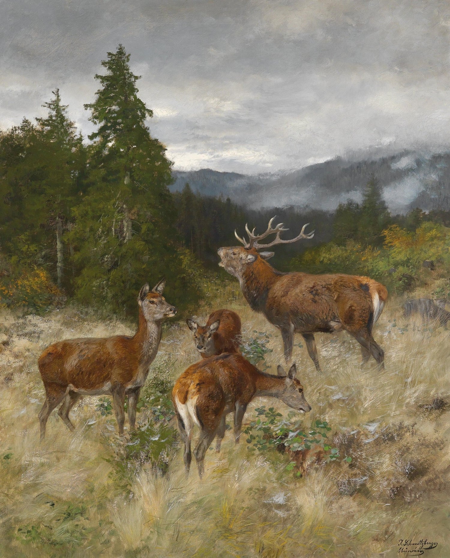 Animals Oil Painting - Hand - Painted Deer Family in Highlands - Oil Painting Haven