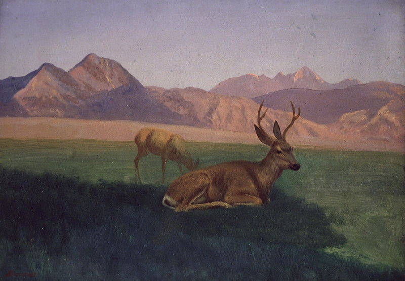 Animals Oil Painting - Hand - Painted Deer in Mountain Meadow - Oil Painting Haven