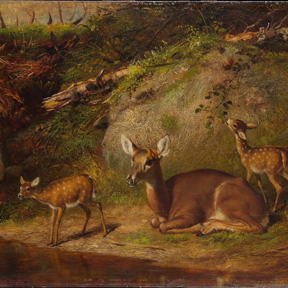 animals Oil Painting - Hand - Painted Doe and Two Fawns - Oil Painting Haven