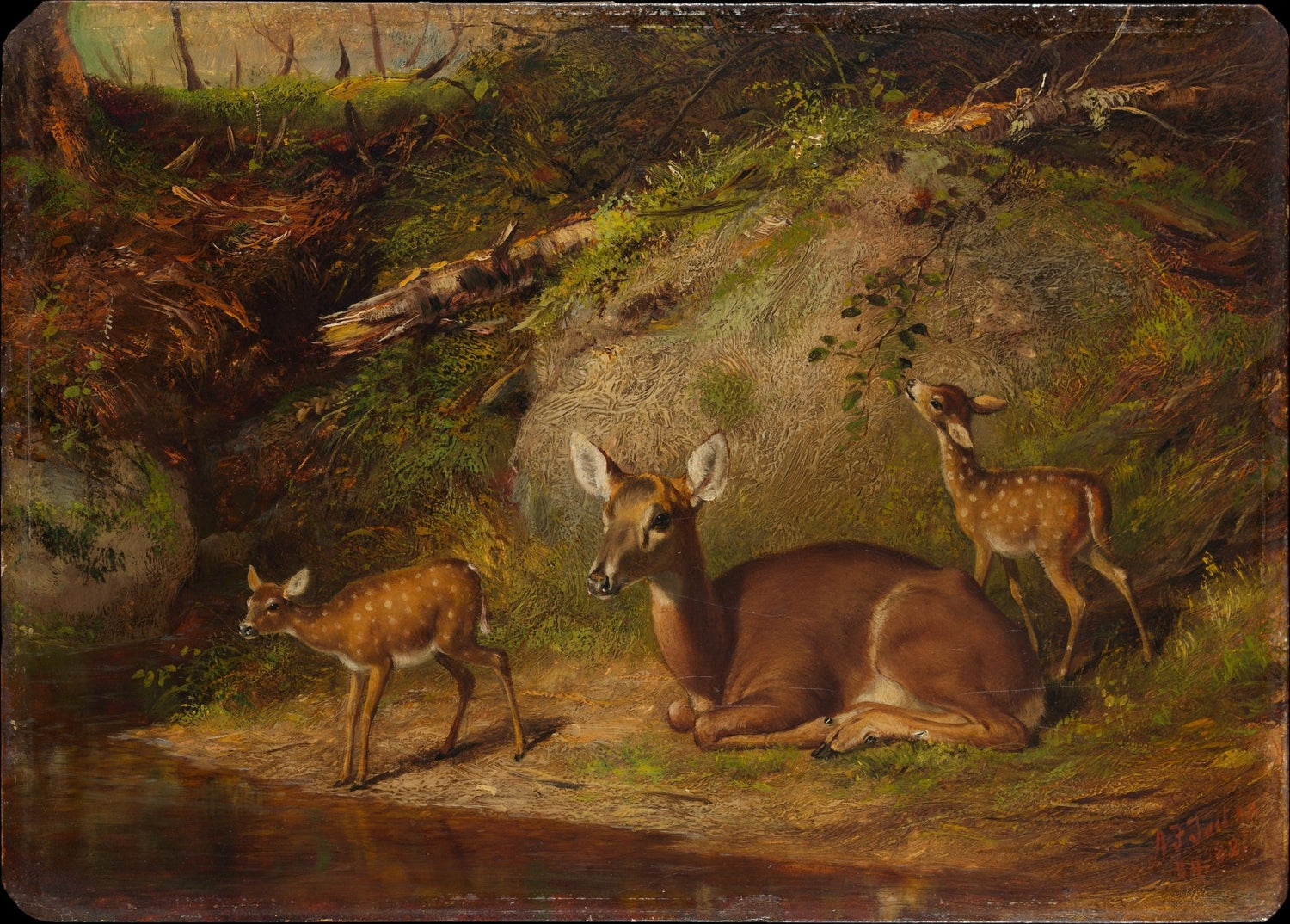 animals Oil Painting - Hand - Painted Doe and Two Fawns - Oil Painting Haven