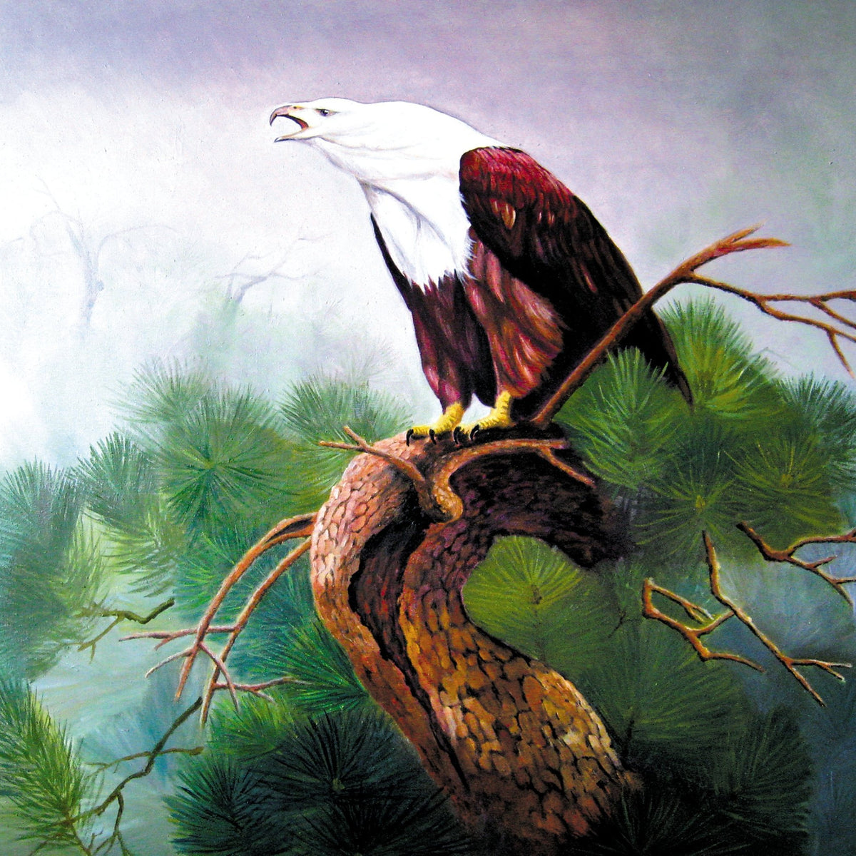 Animals Oil Painting - Hand - Painted Eagle on Pine Branch - Oil Painting Haven