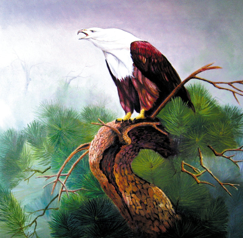 Animals Oil Painting - Hand - Painted Eagle on Pine Branch - Oil Painting Haven