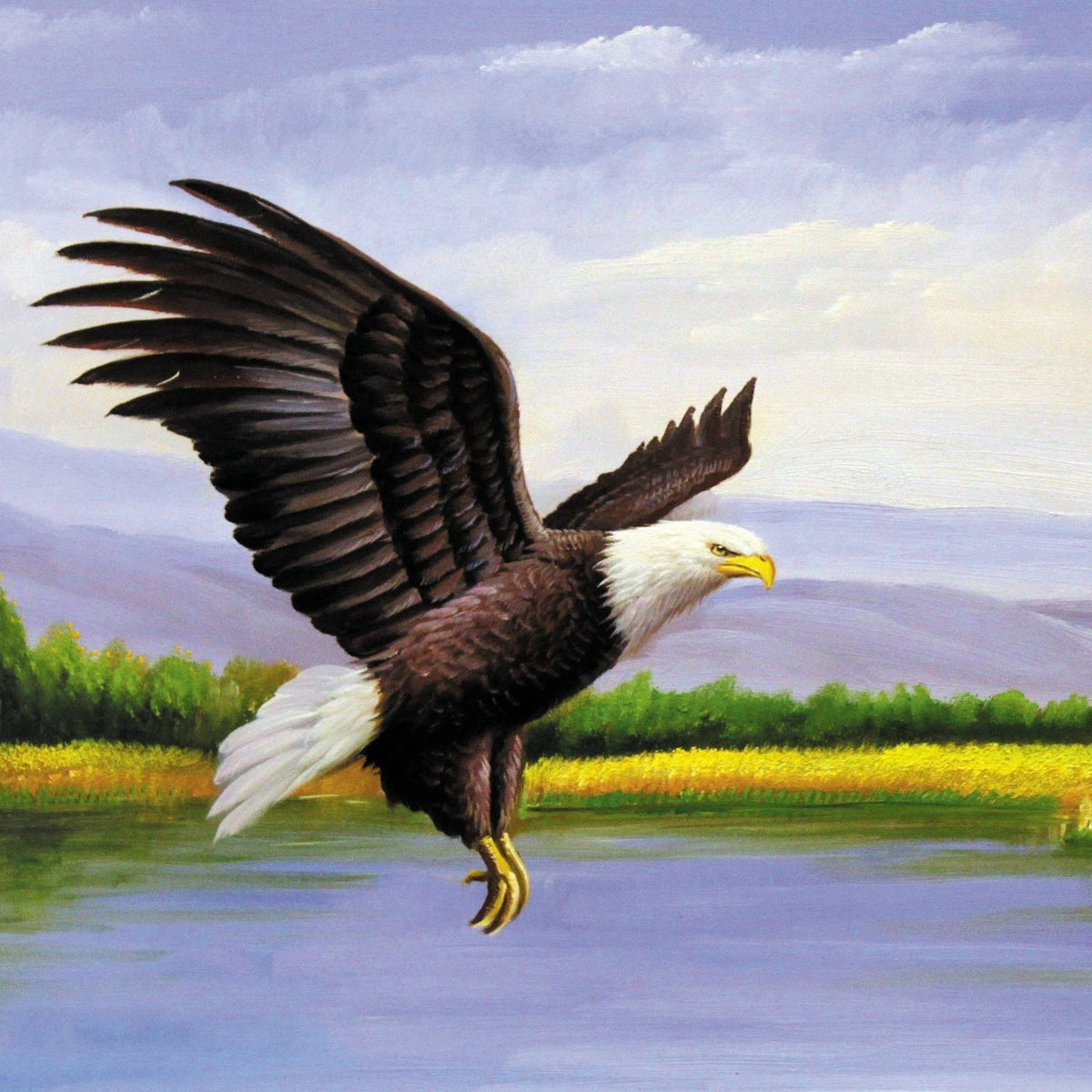 Animals Oil Painting - Hand - Painted Eagle Over River Scene - Oil Painting Haven