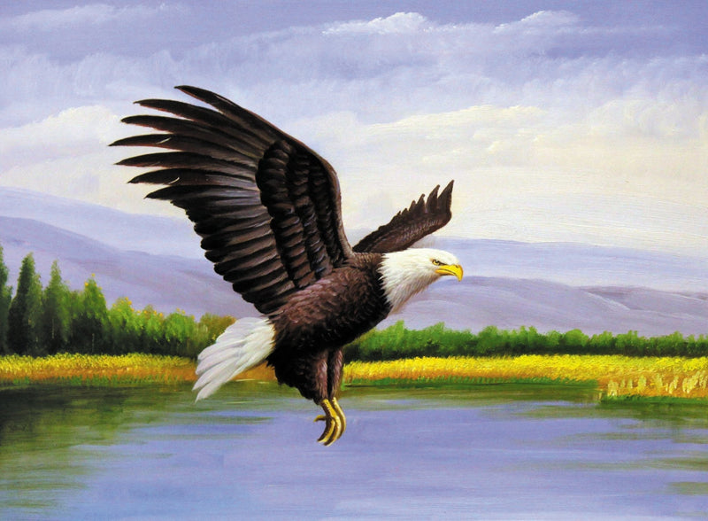 Animals Oil Painting - Hand - Painted Eagle Over River Scene - Oil Painting Haven