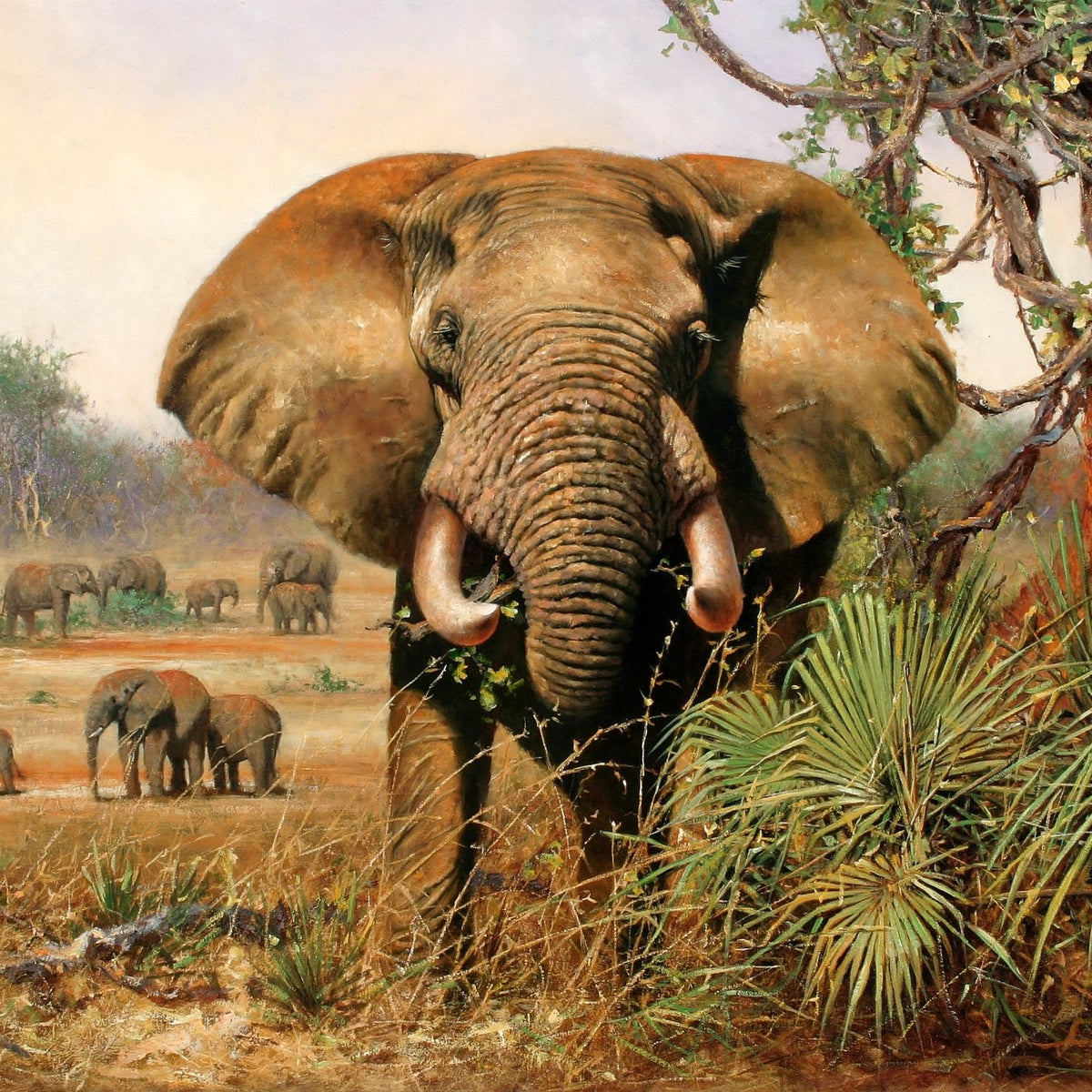 Animals Oil Painting - Hand - Painted Elephant in Savannah - Oil Painting Haven