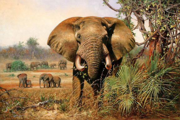 Animals Oil Painting - Hand - Painted Elephant in Savannah - Oil Painting Haven
