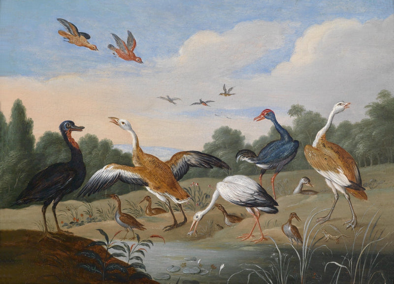 animals Oil Painting - Hand - Painted Exotic Birds Scene - Oil Painting Haven