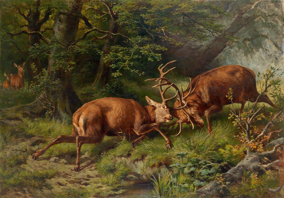 animals Oil Painting - Hand - Painted Fighting Deer Scene - Oil Painting Haven