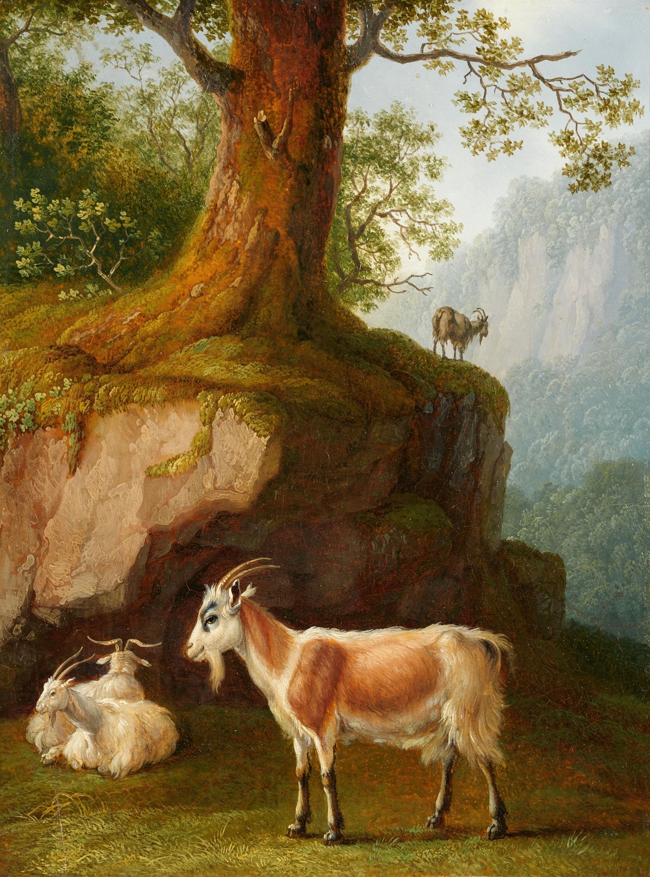 animals Oil Painting - Hand - Painted Goats in Rocky Landscape - Oil Painting Haven