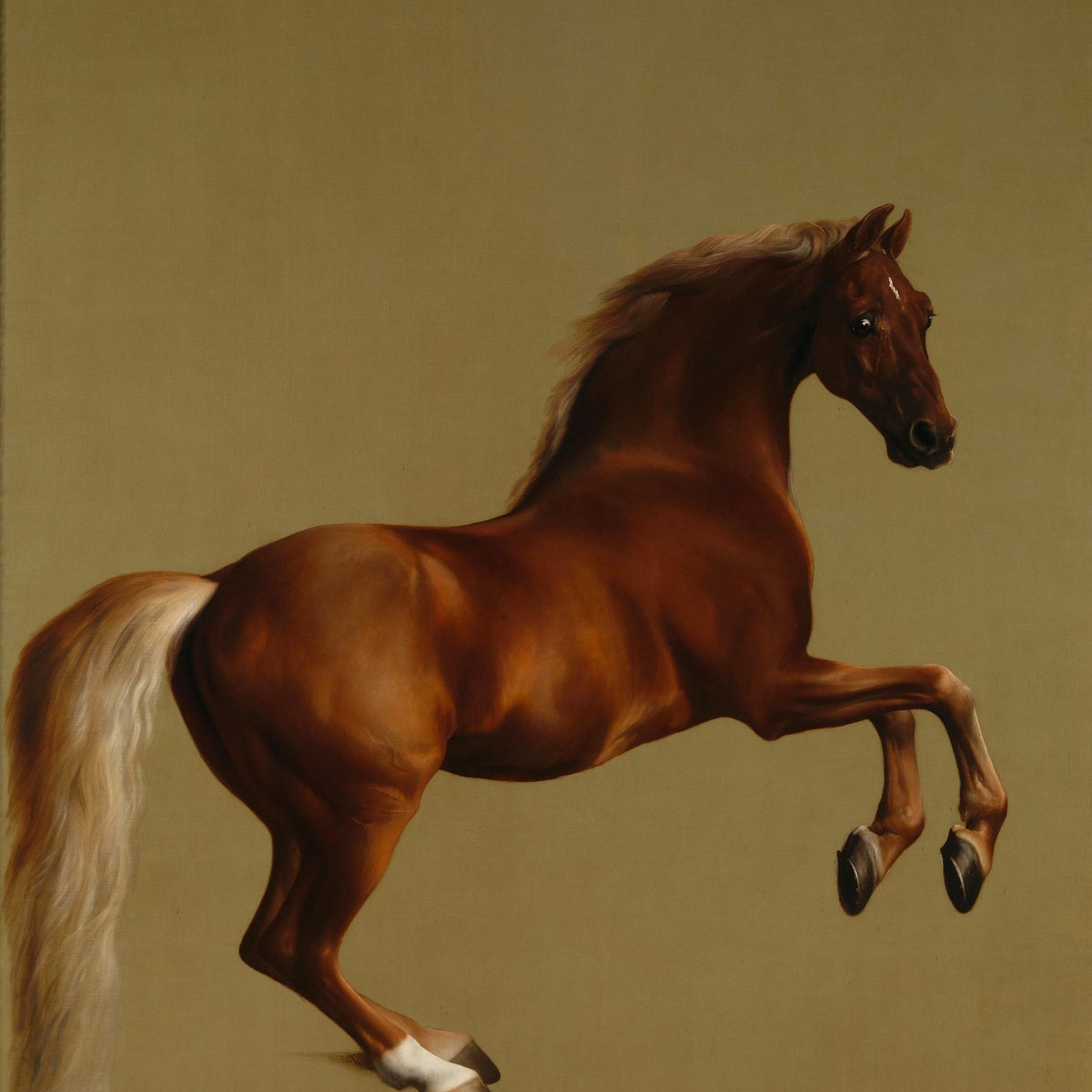 Animals Oil Painting - Hand - Painted Horse Portrait Art - Oil Painting Haven