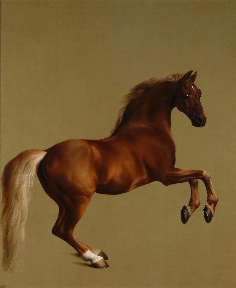 Animals Oil Painting - Hand - Painted Horse Portrait Art - Oil Painting Haven