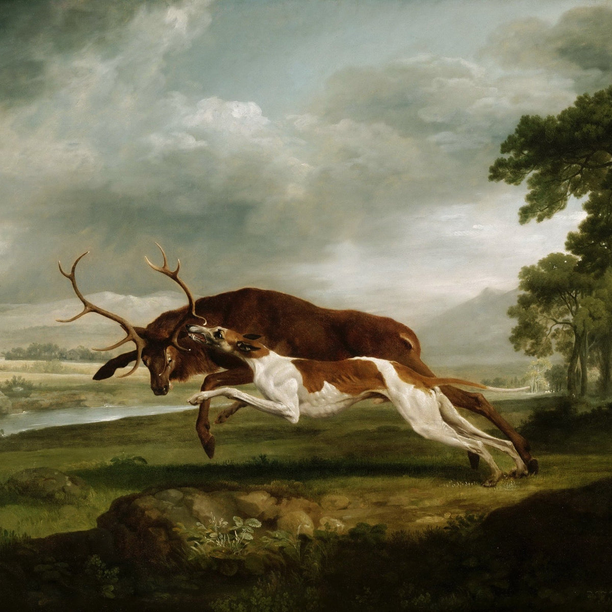 Animals Oil Painting - Hand - Painted Hound Chasing Stag - Oil Painting Haven