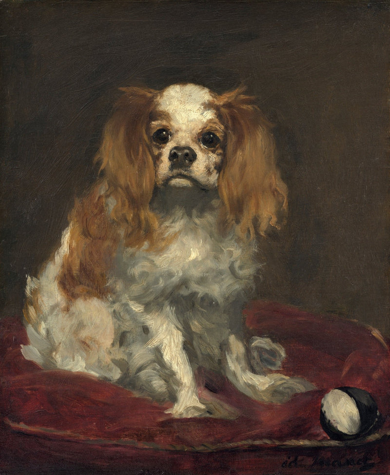 Animals Oil Painting - Hand - Painted King Charles Spaniel - Oil Painting Haven