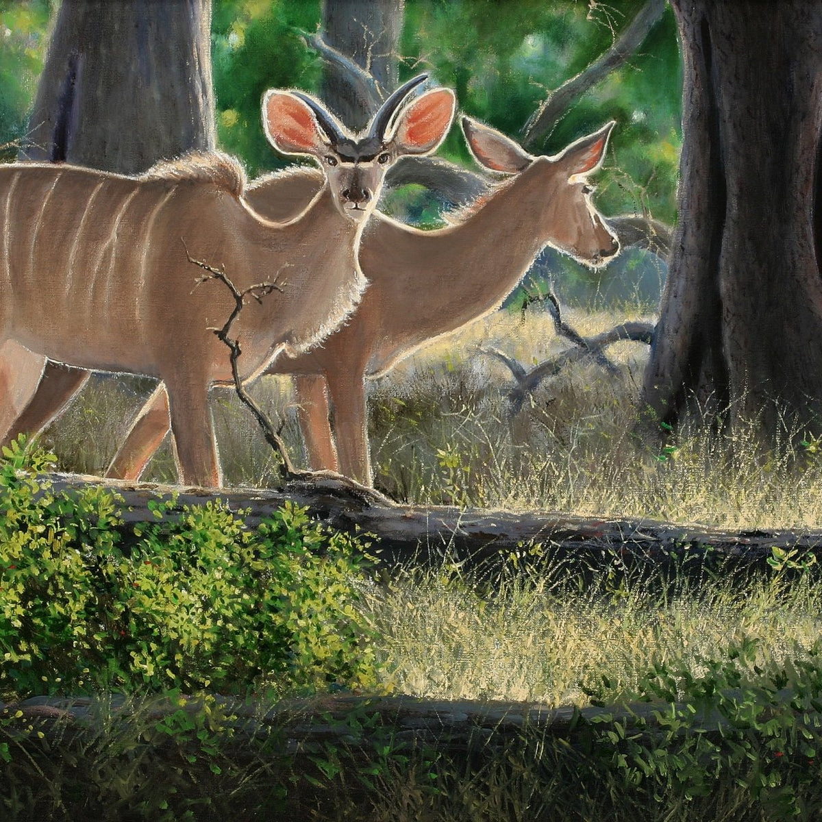 Animals Oil Painting - Hand - Painted Kudu in Forest Light - Oil Painting Haven