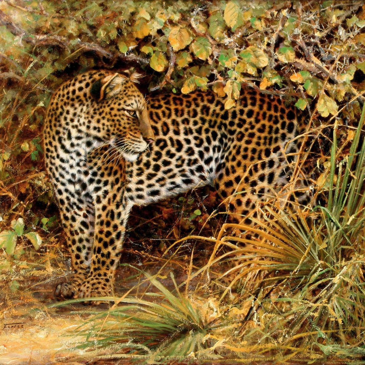 Animals Oil Painting - Hand - Painted Leopard in Brushland - Oil Painting Haven
