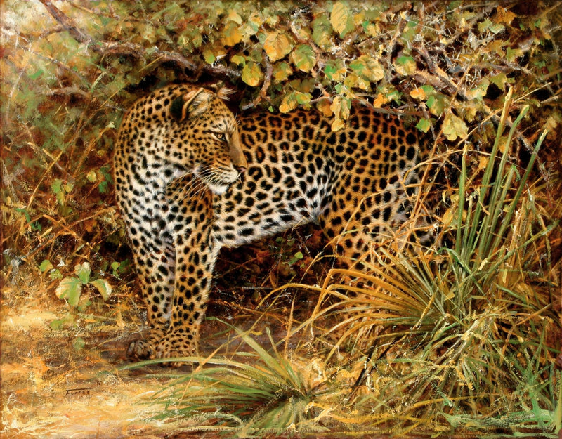 Animals Oil Painting - Hand - Painted Leopard in Brushland - Oil Painting Haven