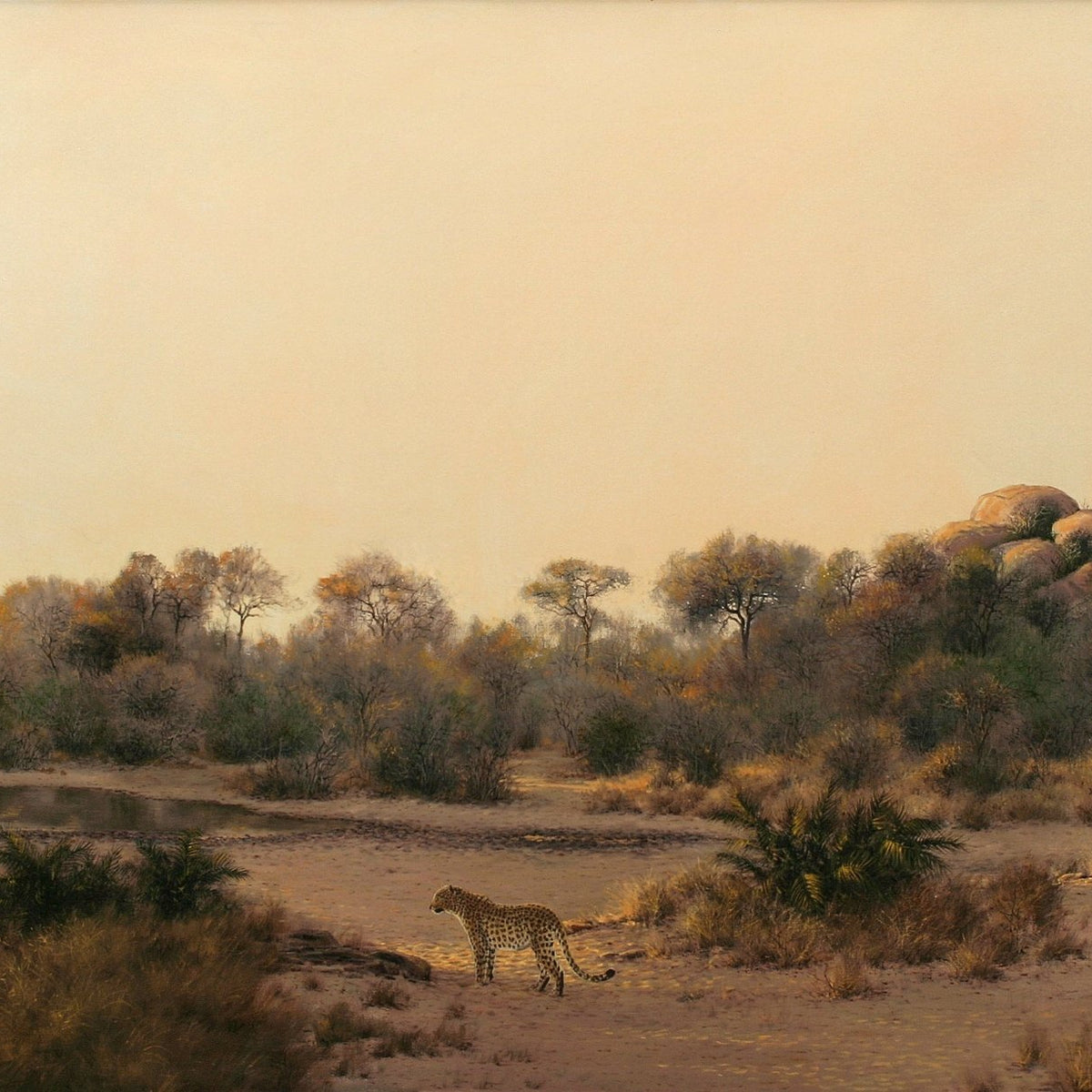 Animals Oil Painting - Hand - Painted Leopard in Open Landscape - Oil Painting Haven