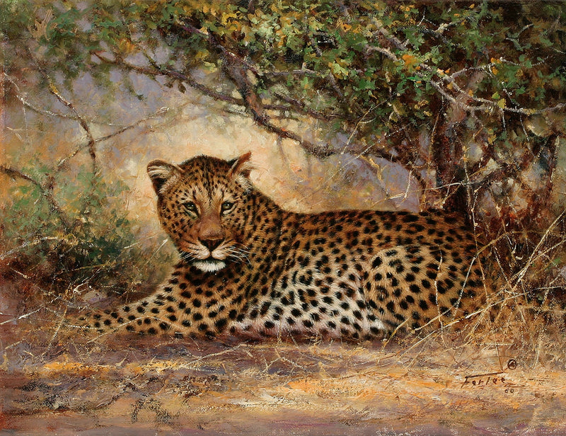 Animals Oil Painting - Hand - Painted Leopard Resting in Shade - Oil Painting Haven