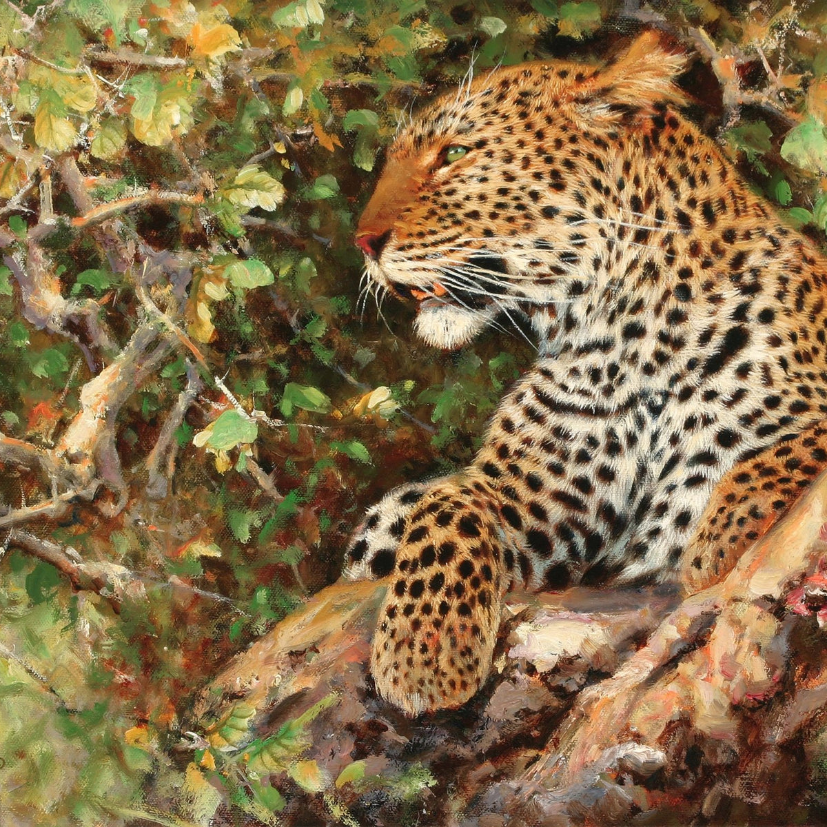 Animals Oil Painting - Hand - Painted Leopard Resting on Branch - Oil Painting Haven