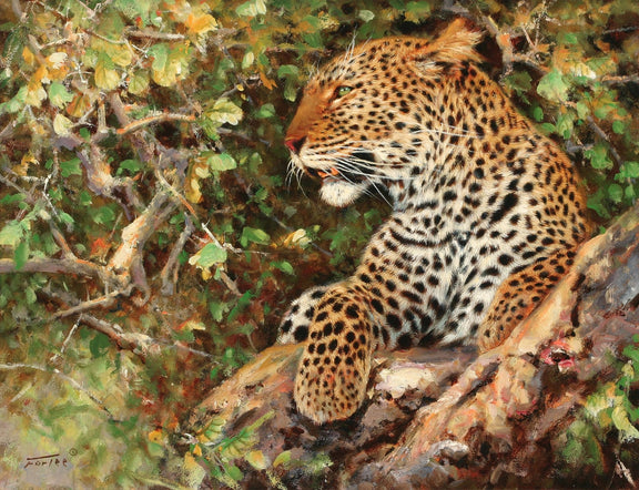 Animals Oil Painting - Hand - Painted Leopard Resting on Branch - Oil Painting Haven