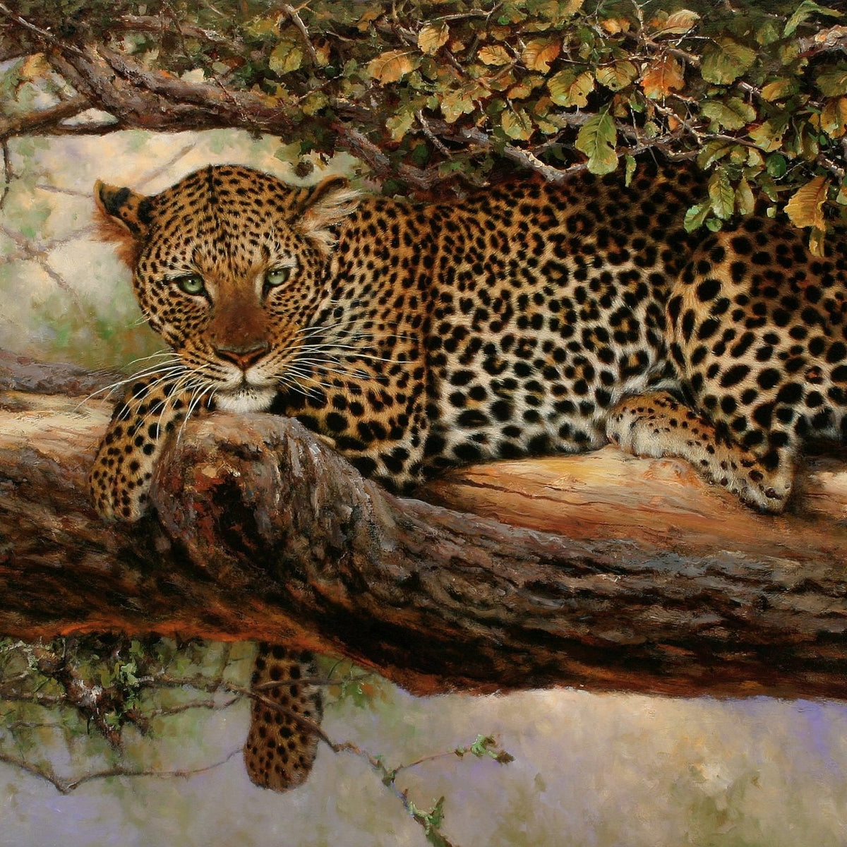 Animals Oil Painting - Hand - Painted Leopard Resting on Tree - Oil Painting Haven