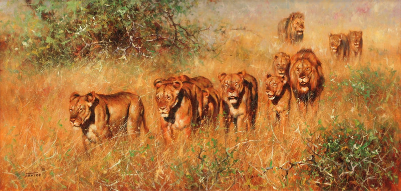 Animals Oil Painting - Hand - Painted Lion Pride in Savannah - Oil Painting Haven