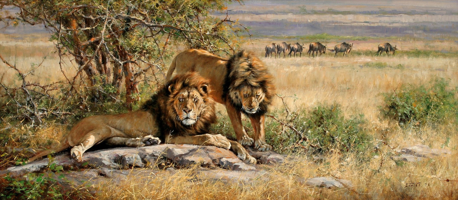 Animals Oil Painting - Hand - Painted Lions in Savannah Grass - Oil Painting Haven