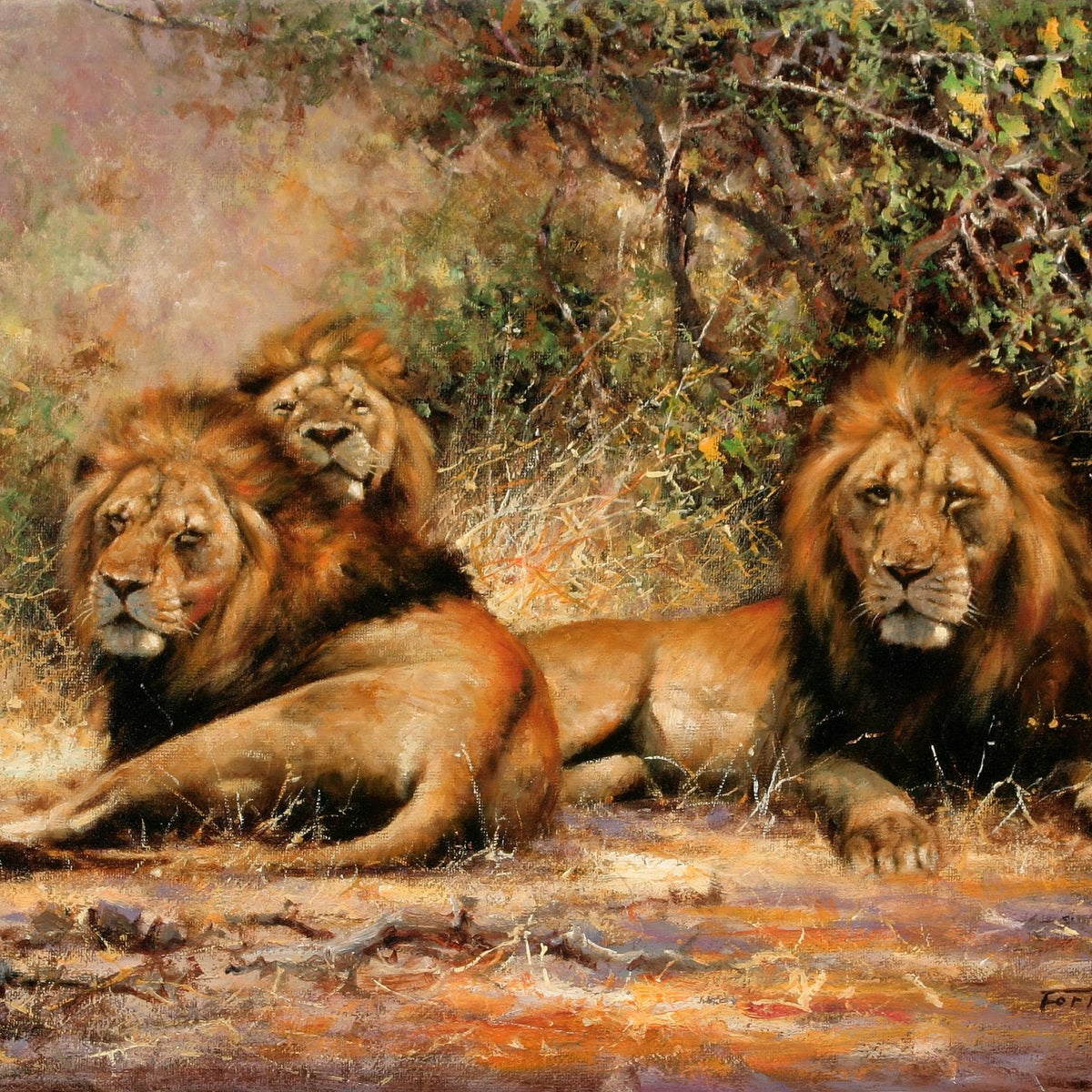 Animals Oil Painting - Hand - Painted Lions Resting in Grass - Oil Painting Haven