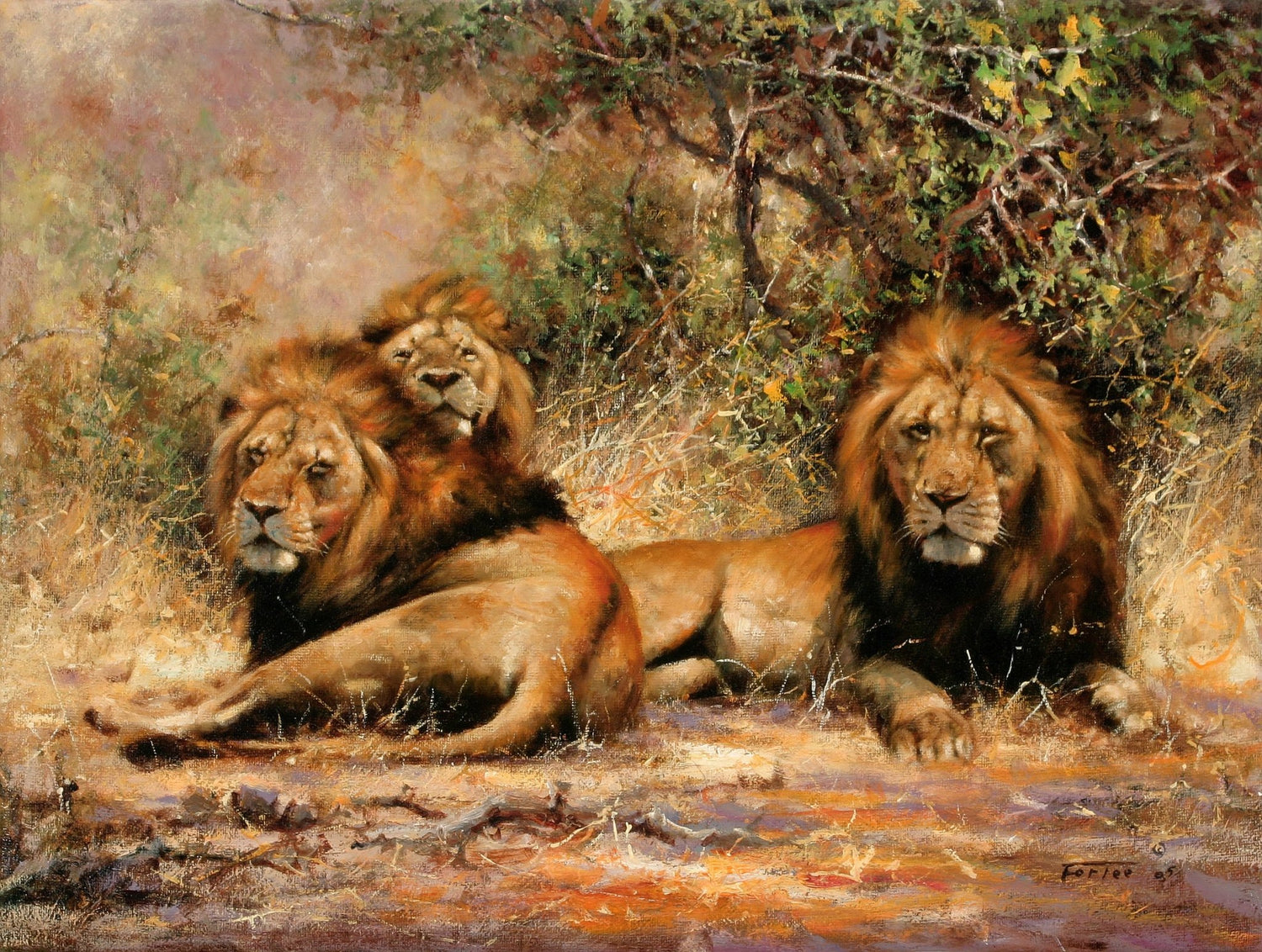 Animals Oil Painting - Hand - Painted Lions Resting in Grass - Oil Painting Haven