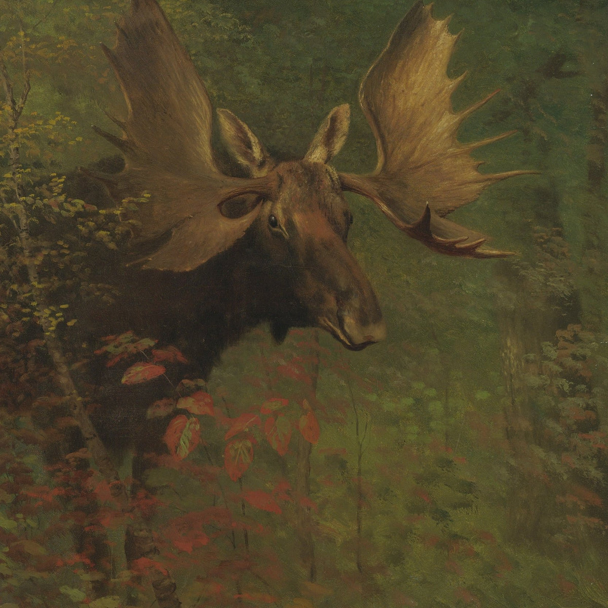 Animals Oil Painting - Hand - Painted Moose Portrait Art - Oil Painting Haven