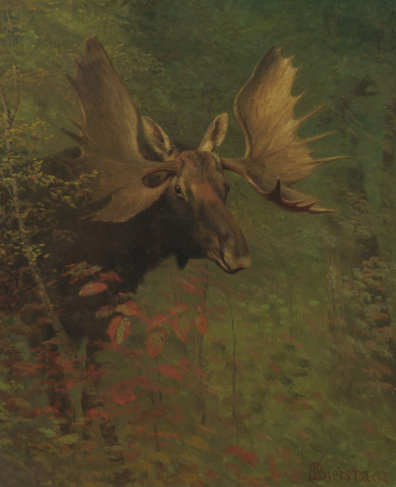 Animals Oil Painting - Hand - Painted Moose Portrait Art - Oil Painting Haven