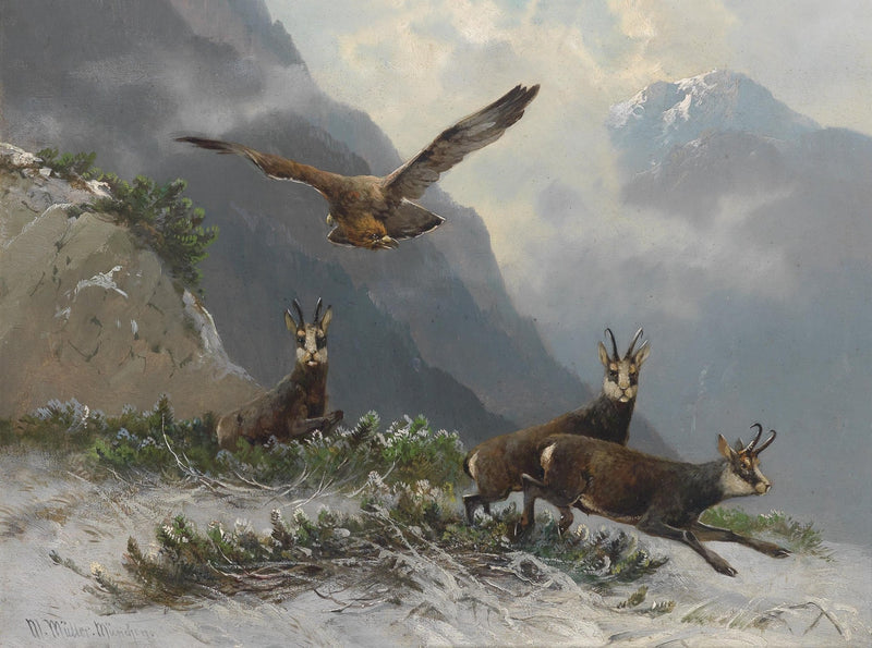 animals Oil Painting - Hand - Painted Mountain Goats and Eagle - Oil Painting Haven