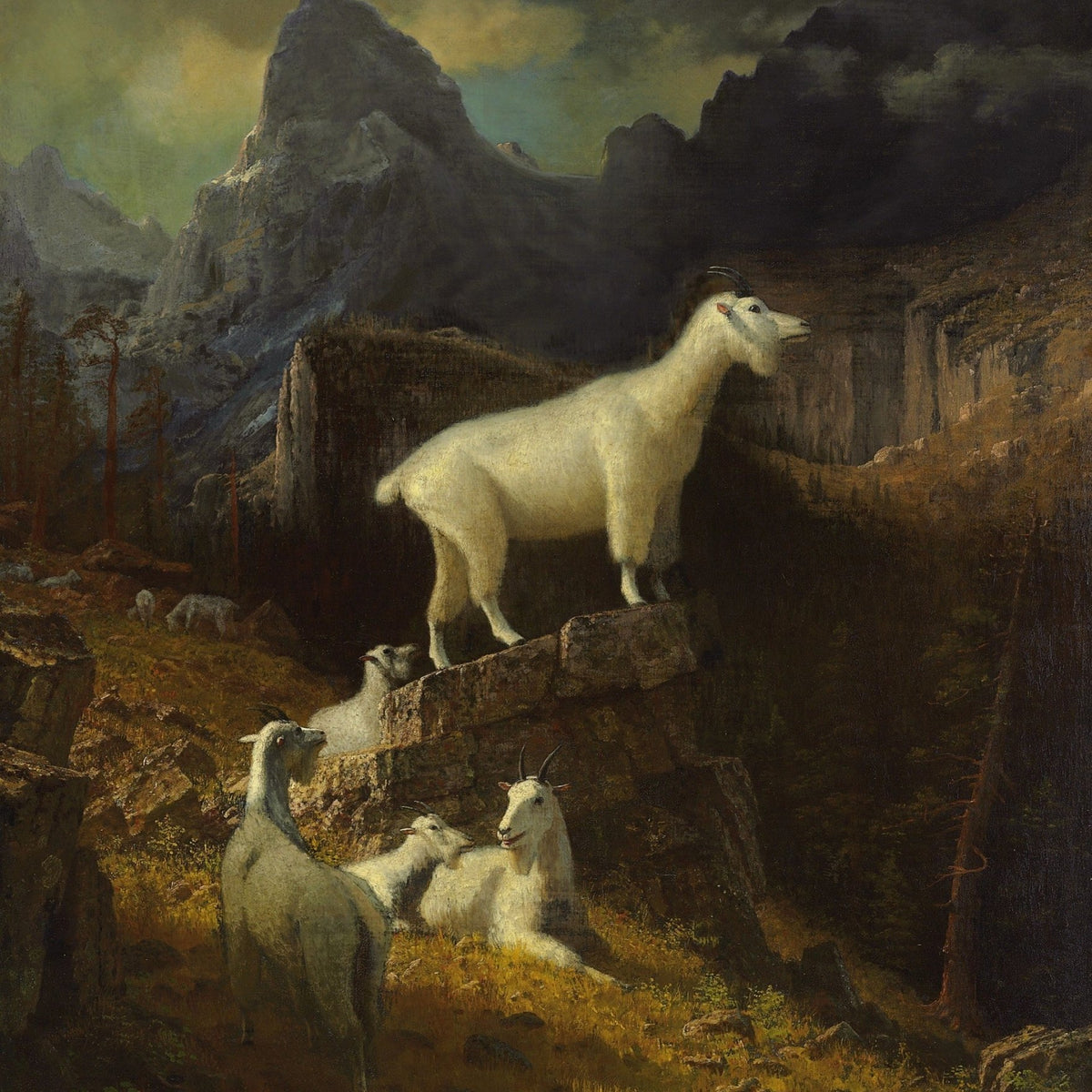Animals Oil Painting - Hand - Painted Mountain Goats Landscape - Oil Painting Haven