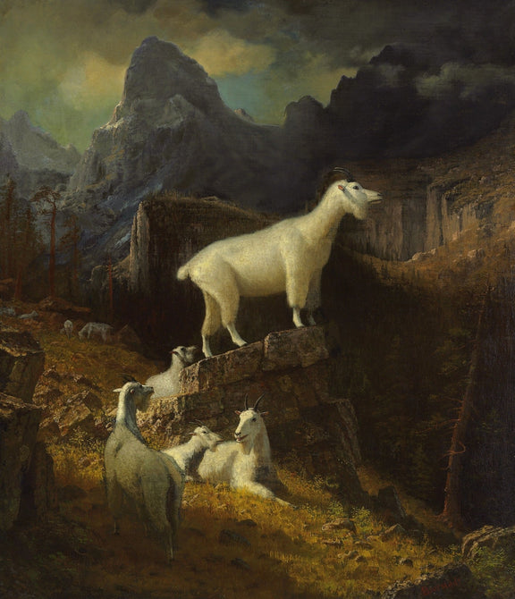 Animals Oil Painting - Hand - Painted Mountain Goats Landscape - Oil Painting Haven