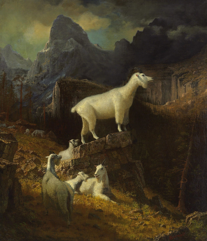 Animals Oil Painting - Hand - Painted Mountain Goats Landscape - Oil Painting Haven