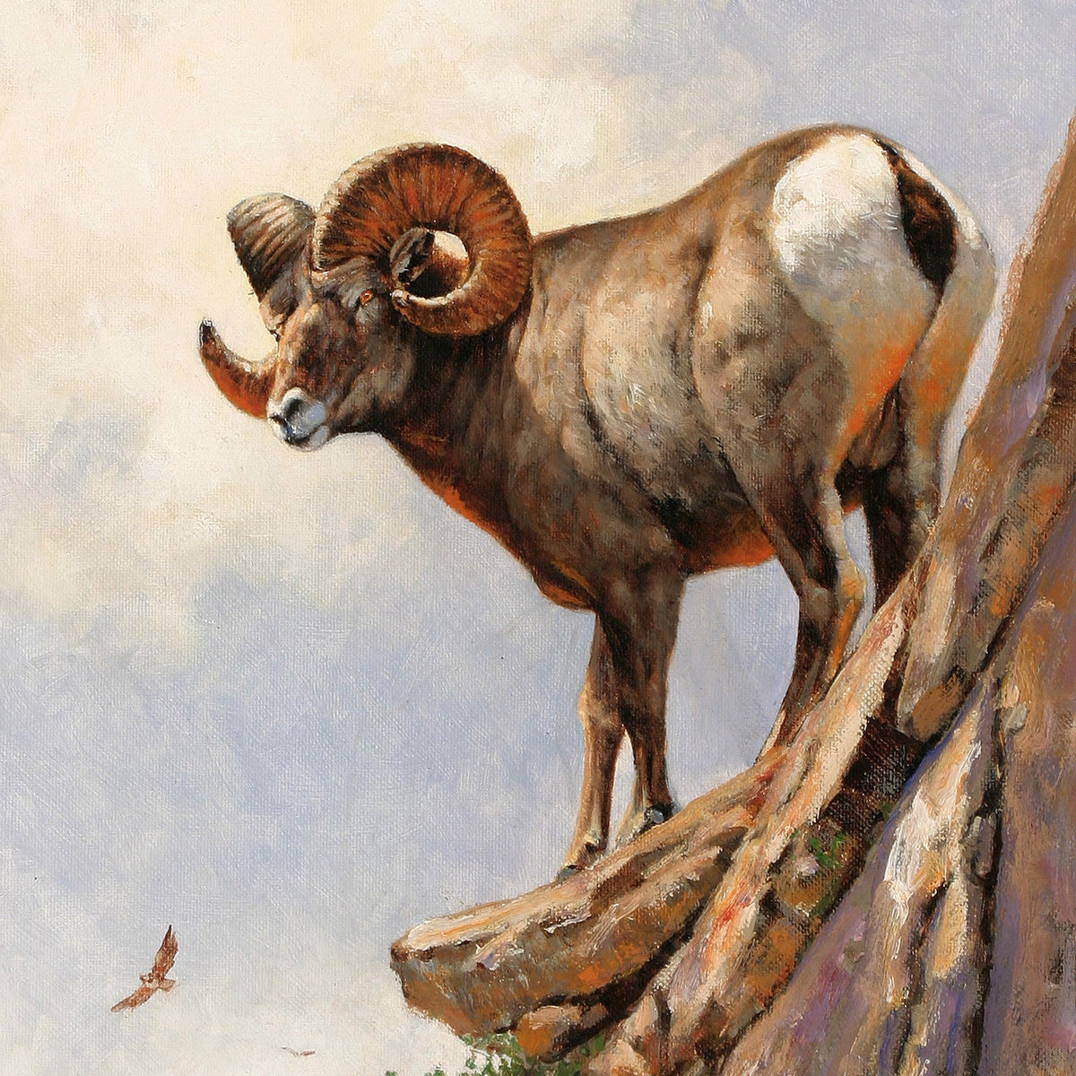Animals Oil Painting - Hand - Painted Mountain Ram on Cliff - Oil Painting Haven