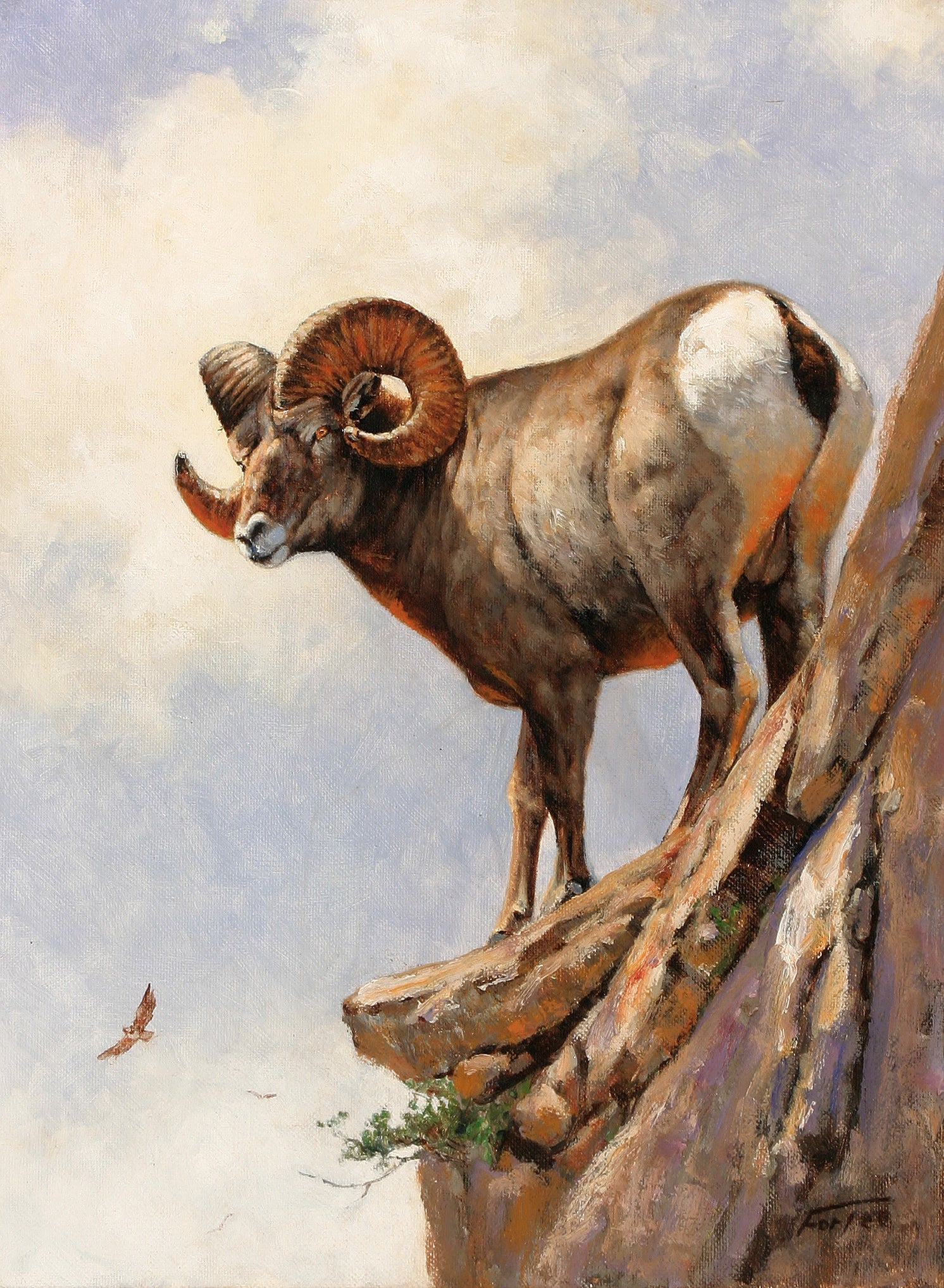 Animals Oil Painting - Hand - Painted Mountain Ram on Cliff - Oil Painting Haven