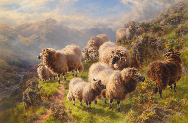 animals Oil Painting - Hand - Painted Mountain Sheep Scene - Oil Painting Haven