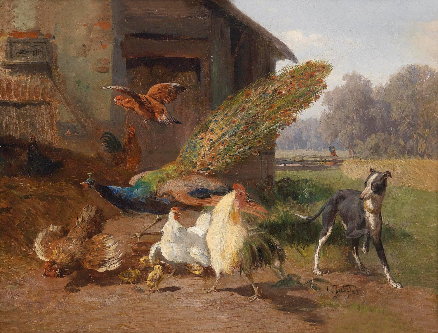 animals Oil Painting - Hand - Painted Peacock and Farmyard Scene - Oil Painting Haven