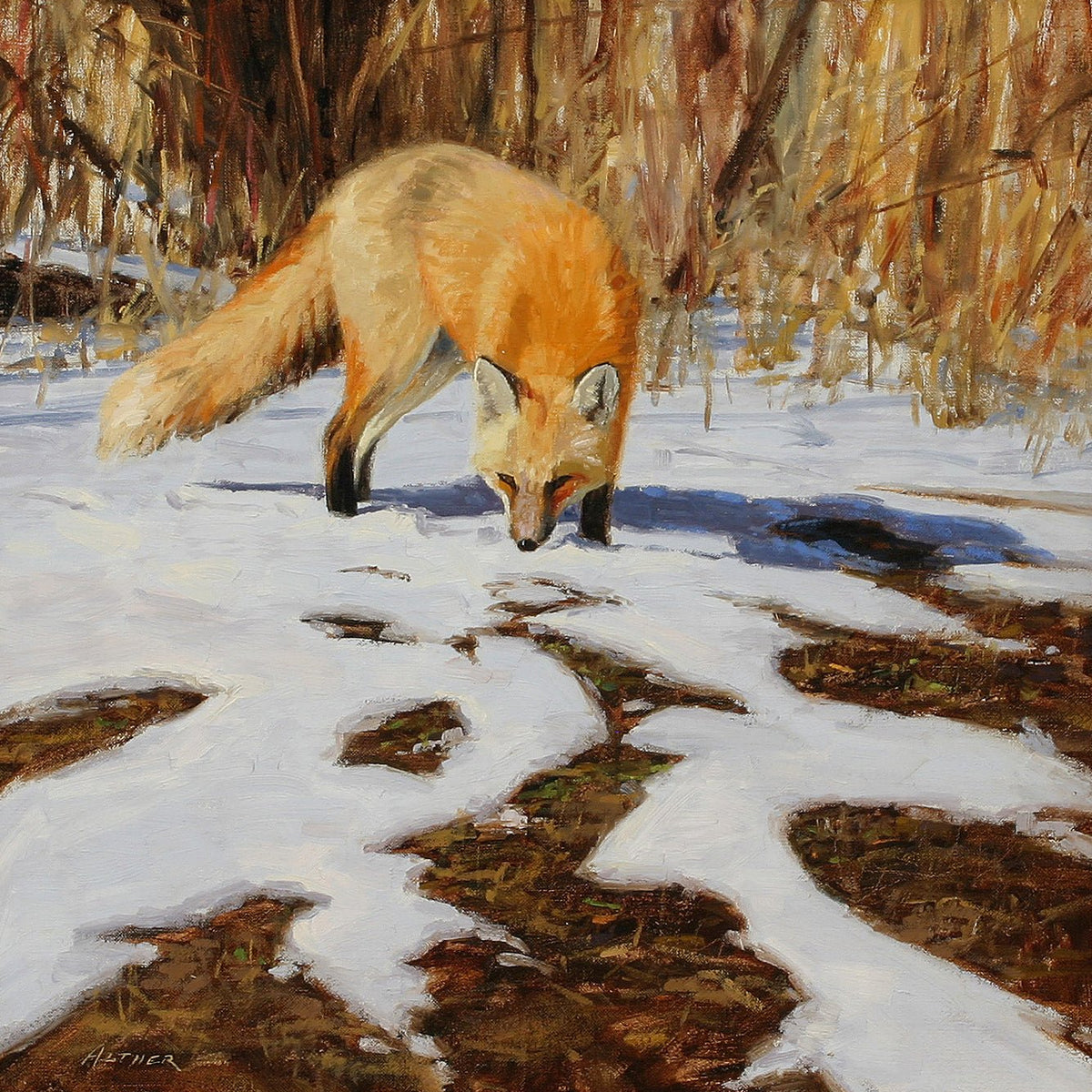 Animals Oil Painting - Hand - Painted Red Fox in Snow - Oil Painting Haven