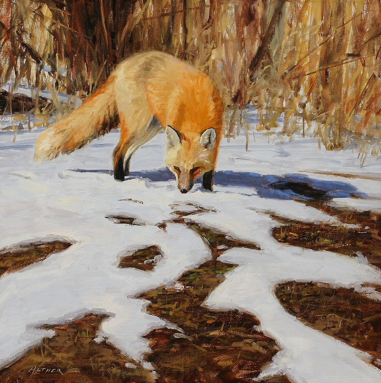 Animals Oil Painting - Hand - Painted Red Fox in Snow - Oil Painting Haven